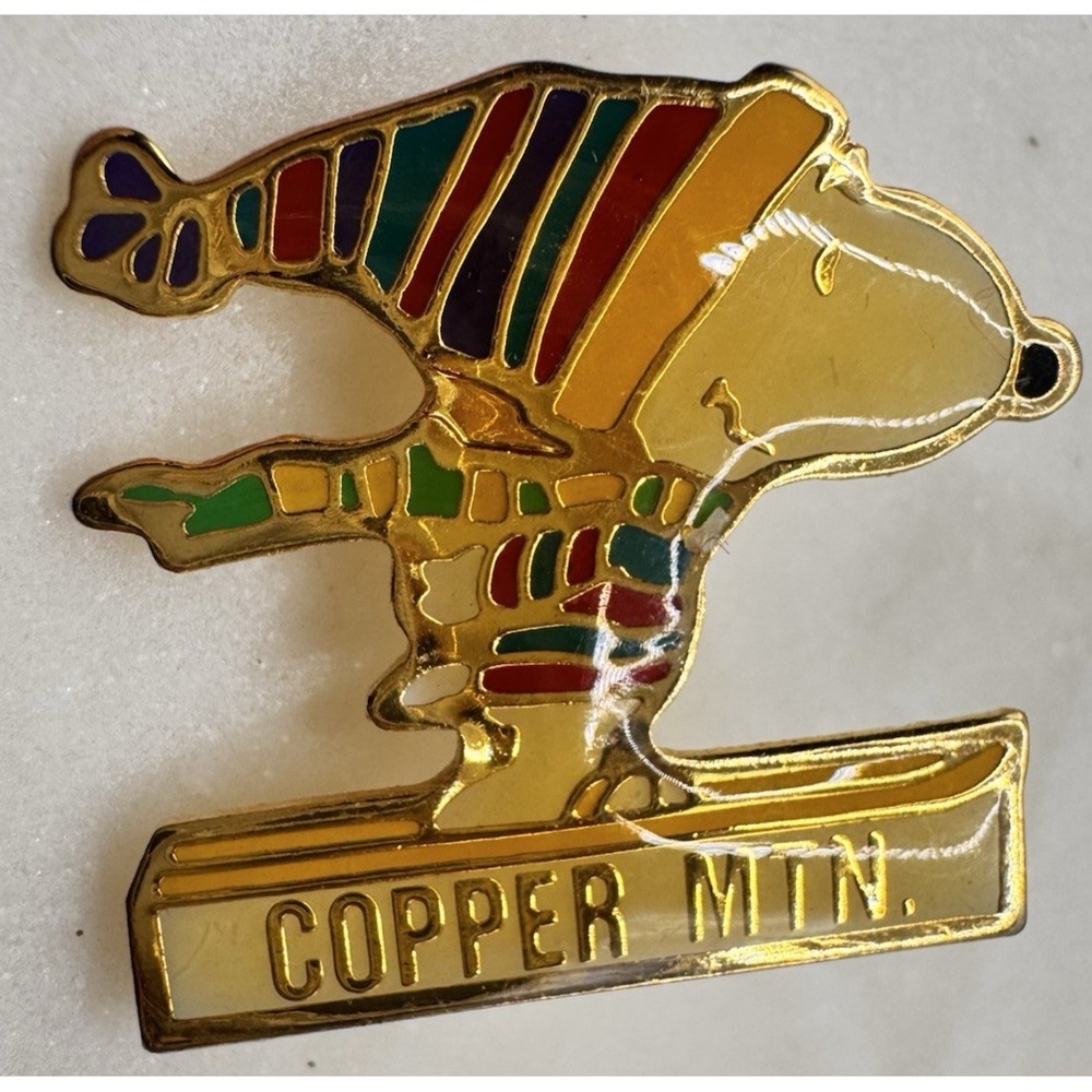 Vintage Snoopy Pin Peanuts Enamel Brooch Ski Snow Winter Gold Tone 1980s